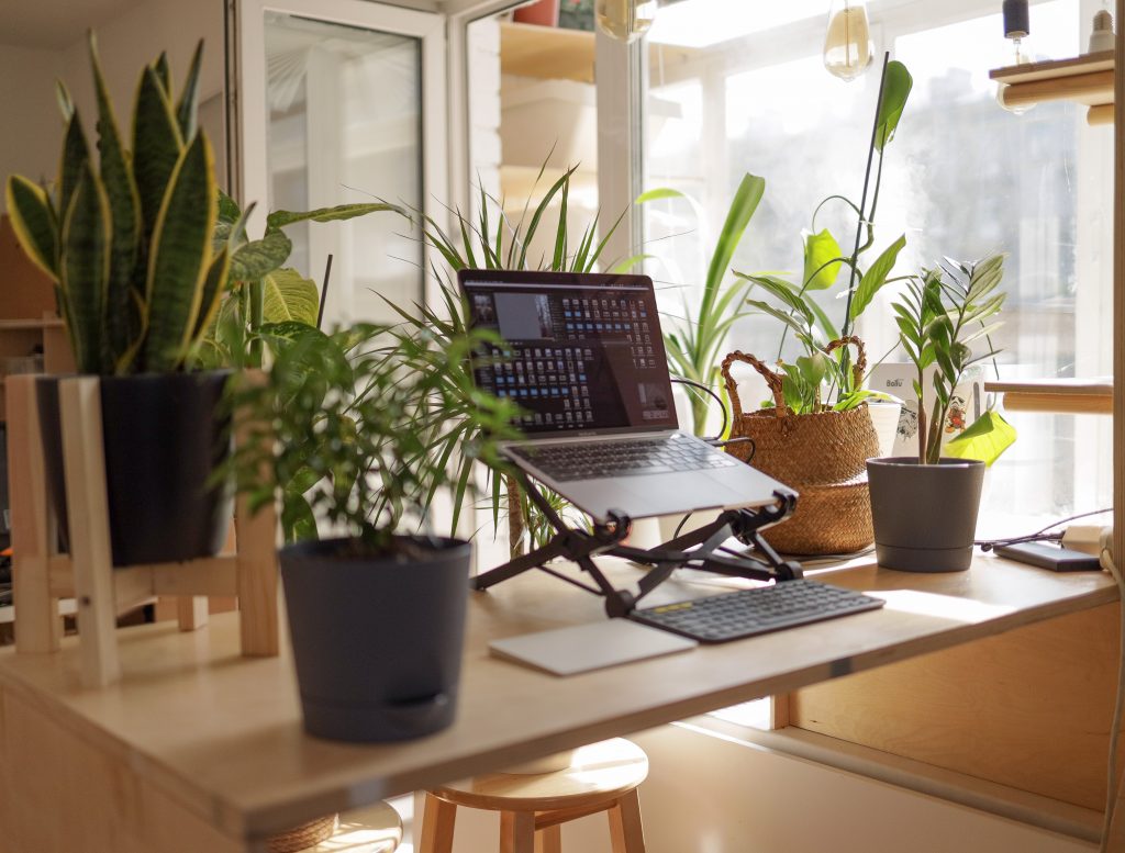 A new hire on onboarding during COVID-19: work from home setup on table with plants