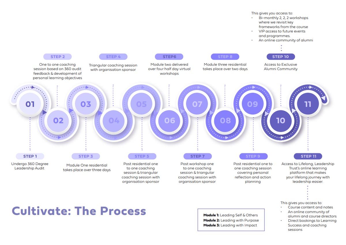 Cultivate Leadership programme process graphic